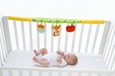 Palestrina Delle Attività 3in1 - 3