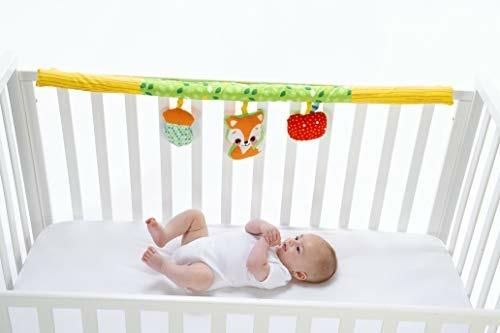 Palestrina Delle Attività 3in1 - 3