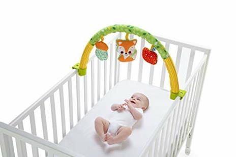 Palestrina Delle Attività 3in1 - 5