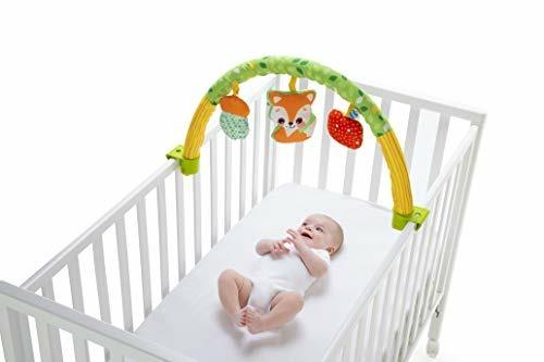 Palestrina Delle Attività 3in1 - 5