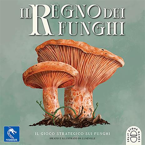 Pendragon - Il Regno dei Funghi - Edizione italiana - Gioco da tavolo, Età 10+,1-4 Giocatori - 2