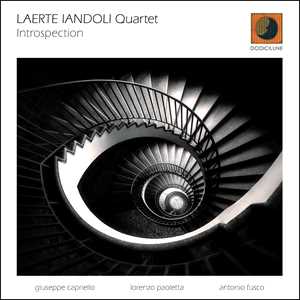 CD Introspection Laerte Iandoli