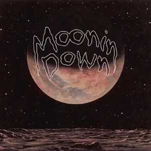 CD The Third Planet Moonin Down