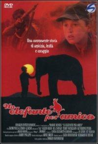 Il mio amico elefante di Dharan Mandrayar - DVD