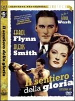 Il sentiero della gloria (DVD)