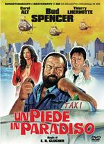 Un piede in paradiso (1991) (DVD)