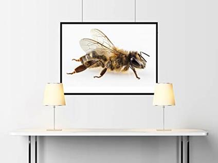 Orologio Calendario Italiano. Goula 51310