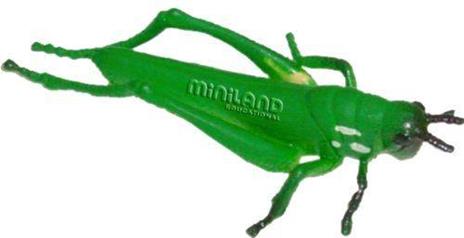 Miniland Animali Insetti 12 Pezzi, Multicolore - 3