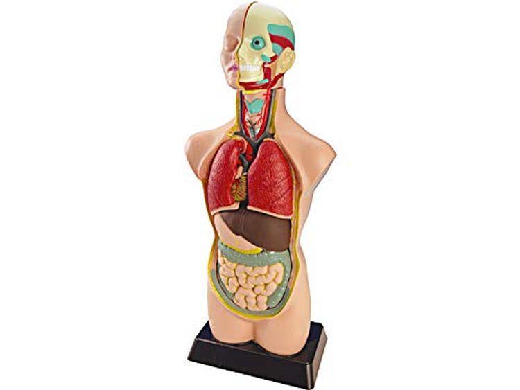 Infopavon