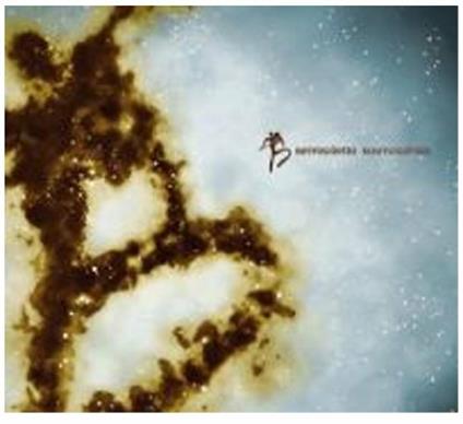 Kosmogonias - CD Audio di Berroguetto