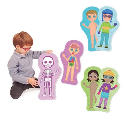 Puzzle Del Corpo Umano • 36  Tessere