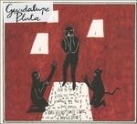 Guadalupe Plata 2015