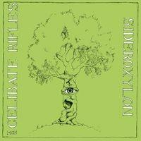 Sideroxylon - Vinile LP di Celibate Rifles