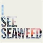 I See Seaweed - CD Audio di Drones