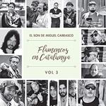 Flamencos En Catalunya El Son De Miguel Carrasco Vol.3