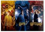 Harry, Ron e Hermione. Puzzle 1000 pz - Harry Potter