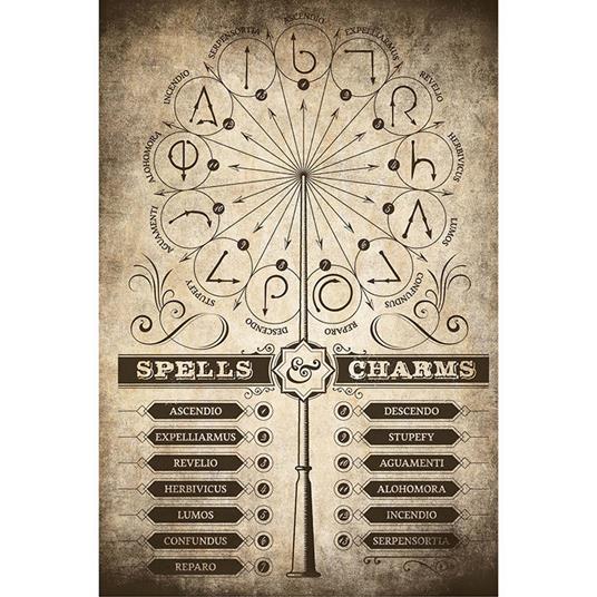 Maxi Poster 61x91,50 Cm Harry Potter Spells & Charms