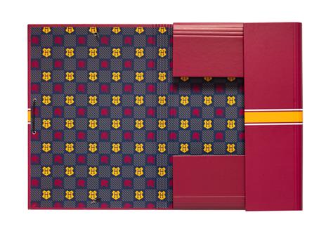 Cartella Con Elastici Harry Potter Gryffindor - 3