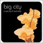 A Spring of Summers - CD Audio di Big City
