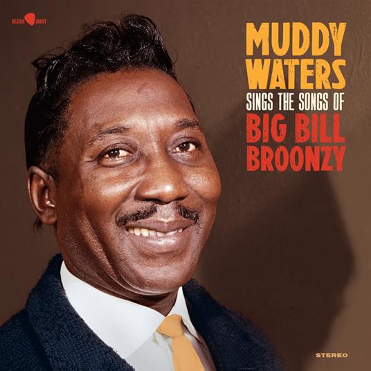 Sings Big Bill - Vinile LP di Muddy Waters