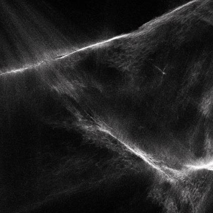 Final Light - Vinile LP di Final Light