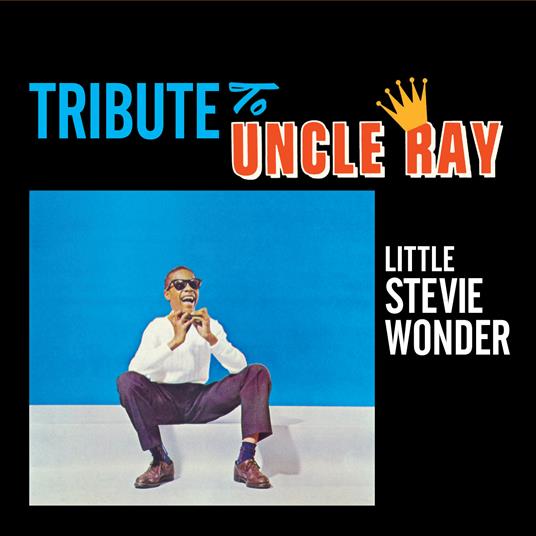 Tribute to Uncle Ray - CD Audio di Stevie Wonder
