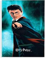 Harry Potter Microfibra Telo Mare Warner Bros.