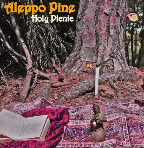 Aleppo Pine - Holy Picnic - CD Audio