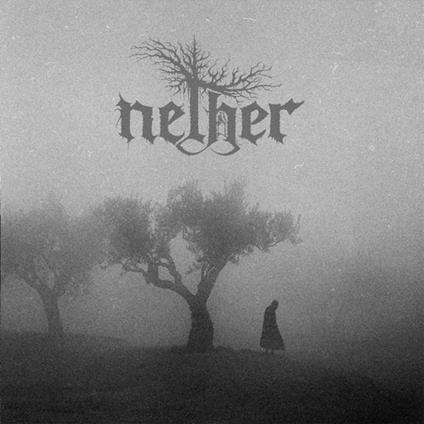 Between Shades And Shadows - CD Audio di Nether