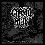 Gnosis Of Immortal Domain
