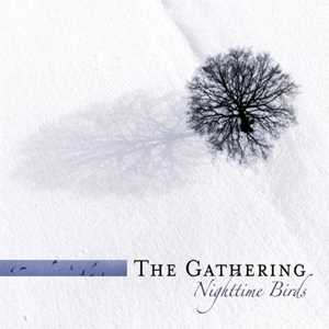 Vinile Nighttime Birds Gathering