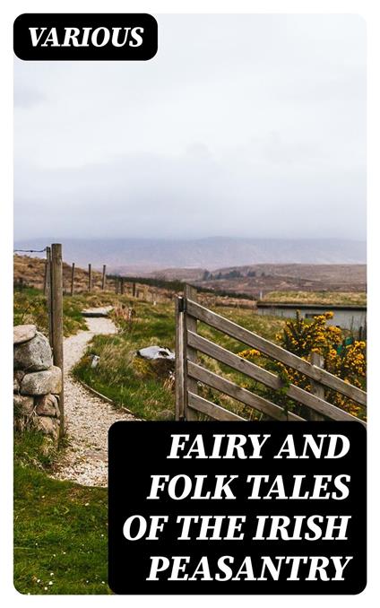 Fairy and Folk Tales of the Irish Peasantry