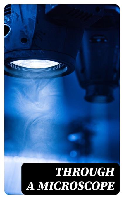 Through a Microscope