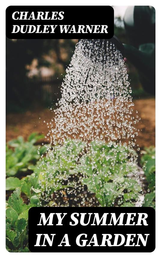 My Summer in a Garden