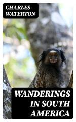 Wanderings in South America