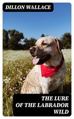 The Lure of the Labrador Wild