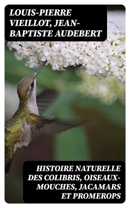 Histoire naturelle des colibris, oiseaux-mouches, jacamars et promerops