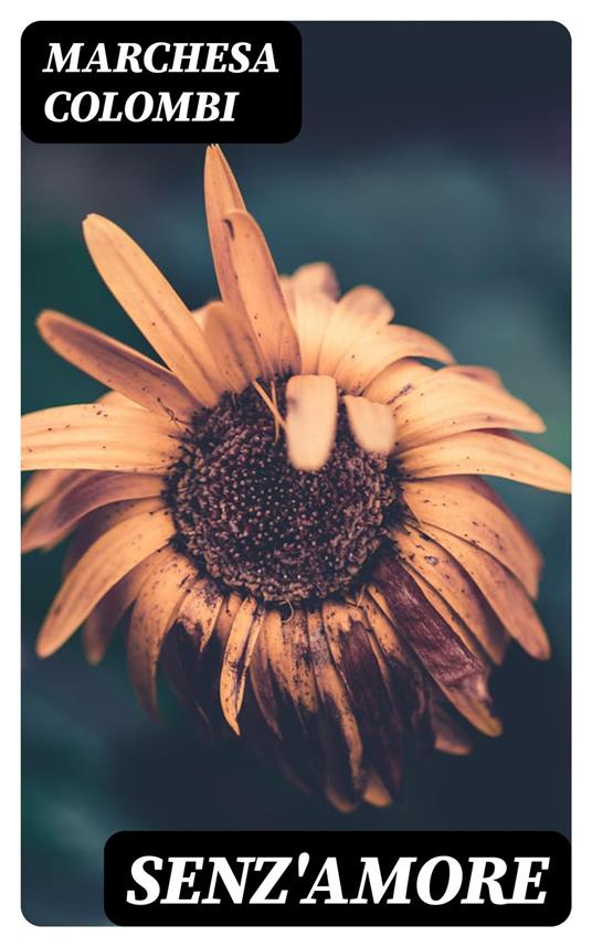 Senz'Amore - Marchesa Colombi - ebook