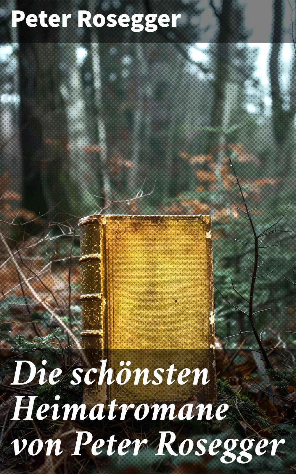 ibs