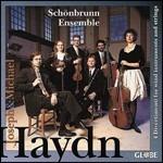 Divertimenti per strumenti a fiato - CD Audio di Franz Joseph Haydn,Johann Michael Haydn