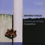 Concerti per La Pietà