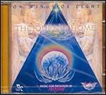 The Journey Home on Wings of Light