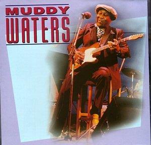 Wonderful Music Of Muddy Waters - CD Audio di Muddy Waters
