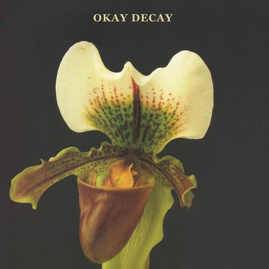 Okay Decay - CD Audio di Canshaker Pi
