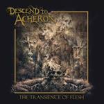 Transience Of Flesh