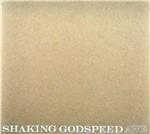 Awe - CD Audio di Shaking Godspeed