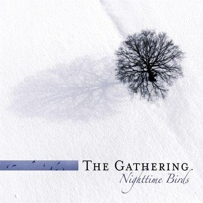 Nighttime Birds - Vinile LP di Gathering