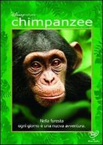 Chimpanzee