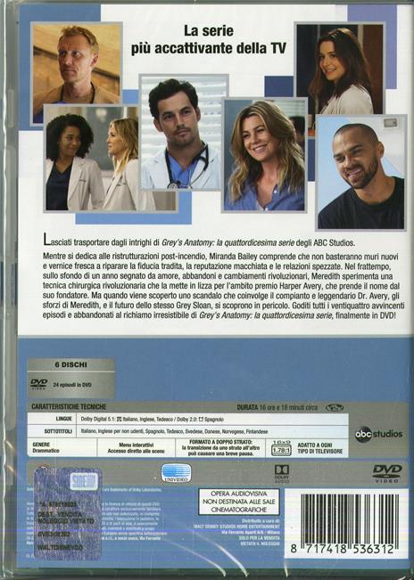 Grey's Anatomy. Stagione 14. Serie TV ita (5 DVD) di Rob Corn,Tony Phelan,Debbie Allen - DVD - 2