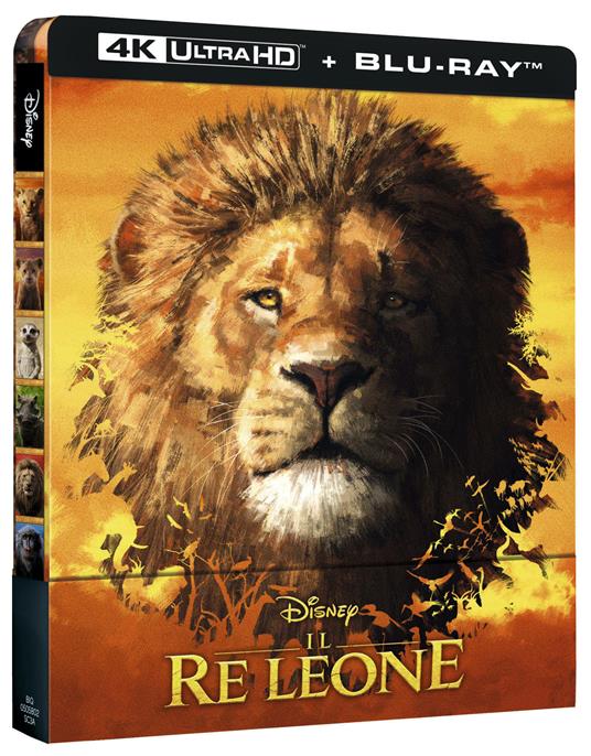 Il Re Leone Live Action. Con Steelbook (Blu-ray + Blu-ray Ultra HD 4K) di Jon Favreau - Blu-ray + Blu-ray Ultra HD 4K